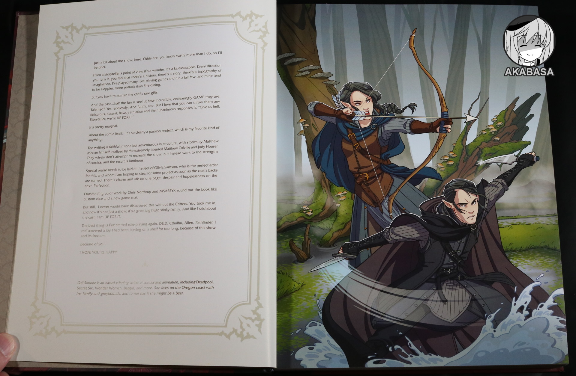 The Legend of Vox Machina' Cast on How They Turned 'Critical Role